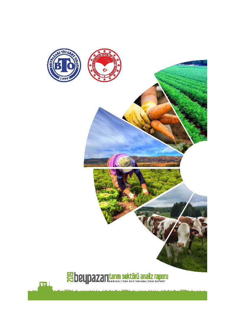2019 Beypazarı Tarım Sektörü Analiz Raporu